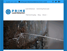 Tablet Screenshot of primeleakdetection.com